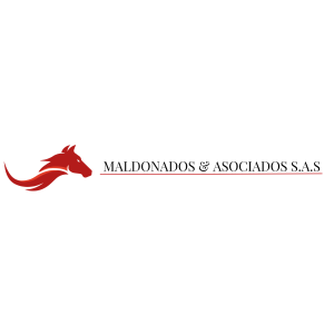 Maldonados Academy